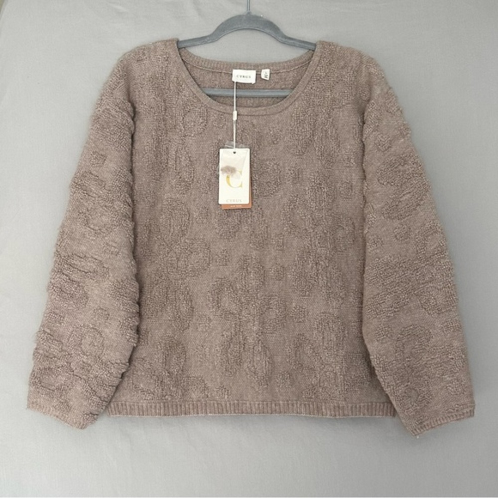Cyrus Textured Knit Sweater Relaxed Silhouette Size L NWT